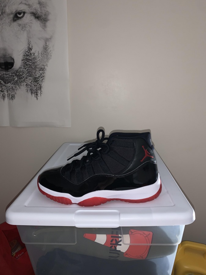 jordan bred 11 8.5