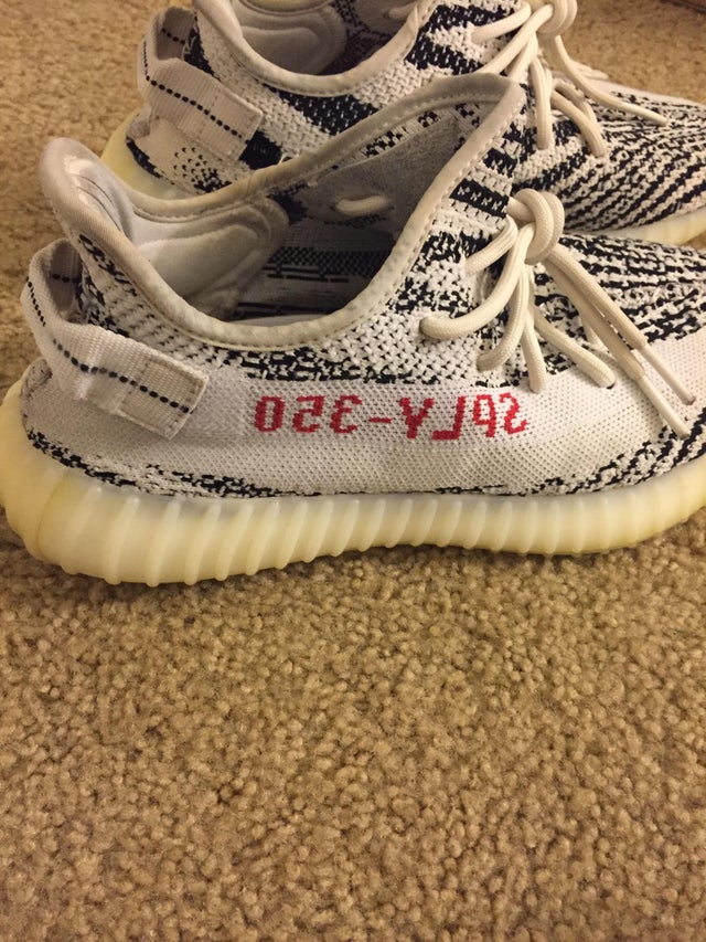 yeezy zebra size 6